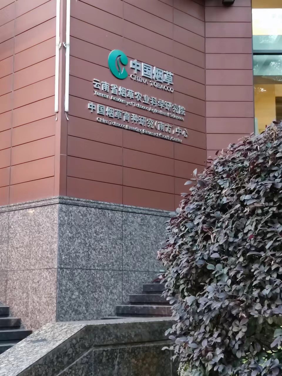 云南省煙草農(nóng)業(yè)科學(xué)研究院（煙草）
